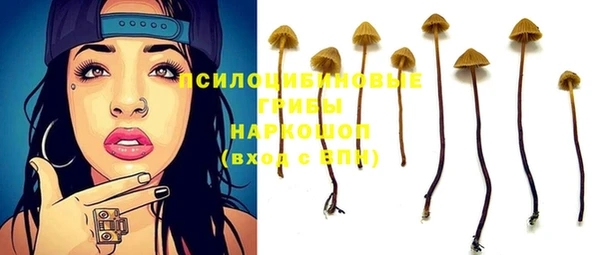 МДПВ Сатка